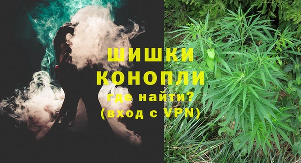 каннабис Каменногорск
