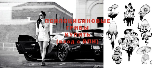 ECSTASY Каменка