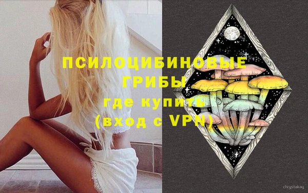 ECSTASY Каменка