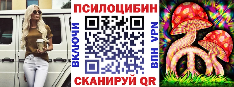 Галлюциногенные грибы мухоморы  Купить закладки  Гатчина 